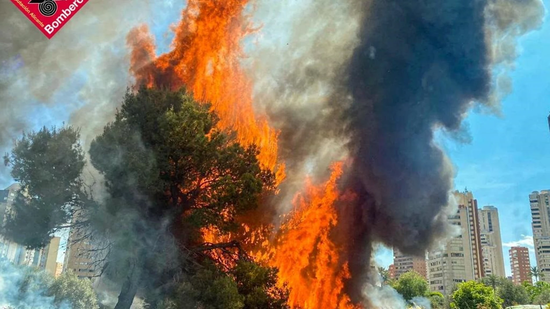 Un incendio en unos solares de Benidorm calcina colchones, basura y diversos enseres CONSORCIO PROVINCIAL BOMBEROS AL 16/05/2023