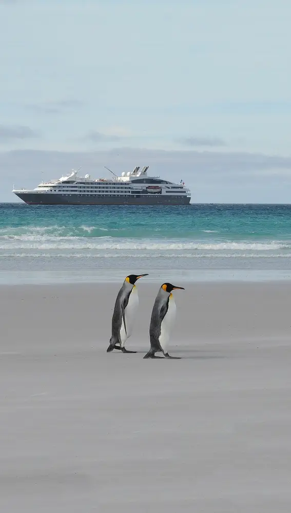 La Antártida es uno de los destinos más exóticos de las grandes navieras de cruceros