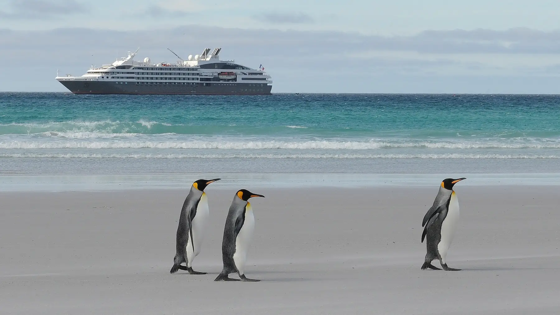 La Antártida es uno de los destinos más exóticos de las grandes navieras de cruceros