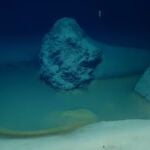 Encuentran una "piscina de la muerte" en el fondo del mar Rojo: Nada de lo que entra sale con vida