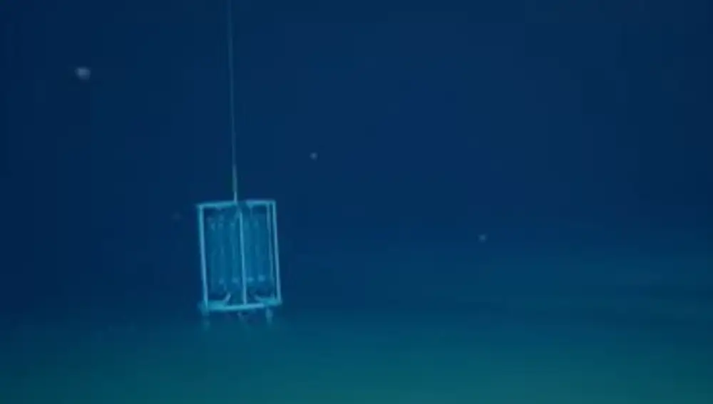 El descubrimiento se produjo por casualidad durante una misión submarina