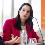 Arrimadas: no se puede analizar la vivienda turística sin englobarla en el sector