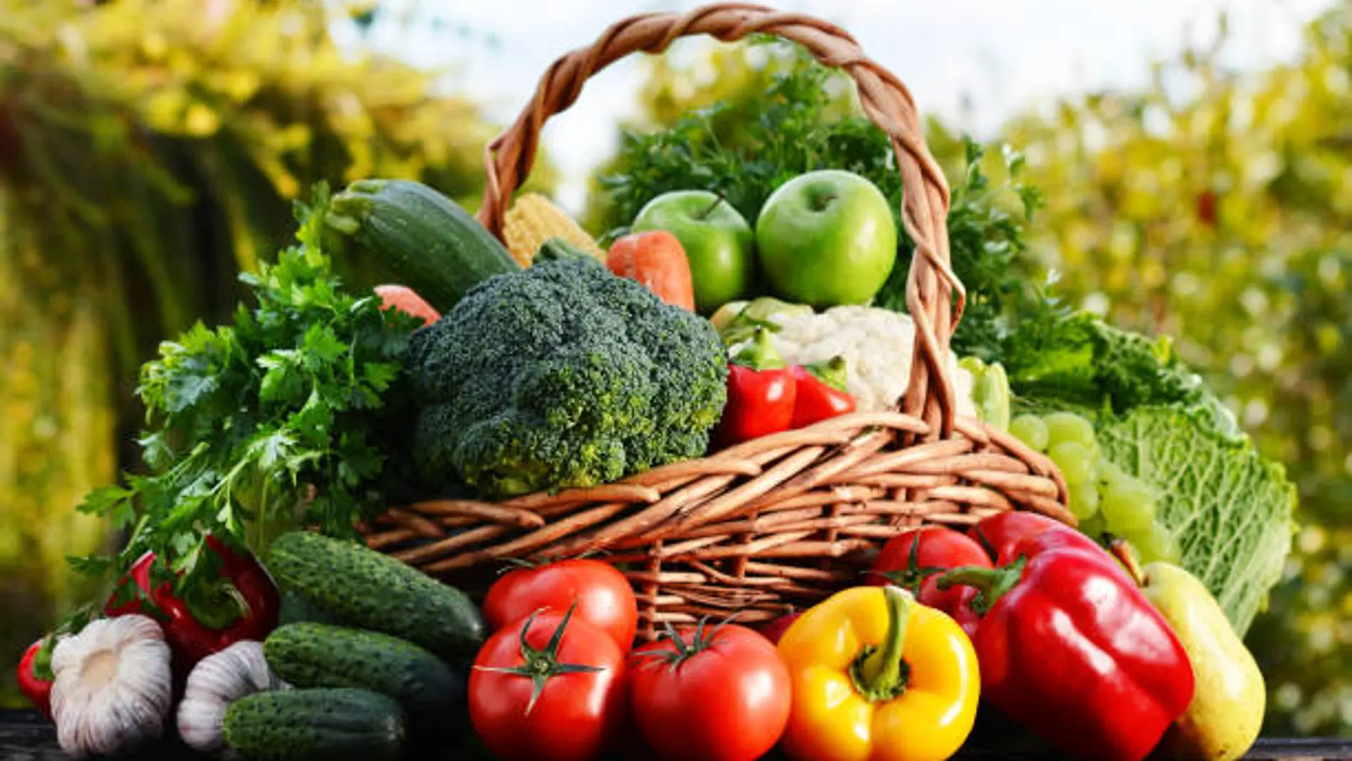 Frutas y verduras frescas para tu negocio 