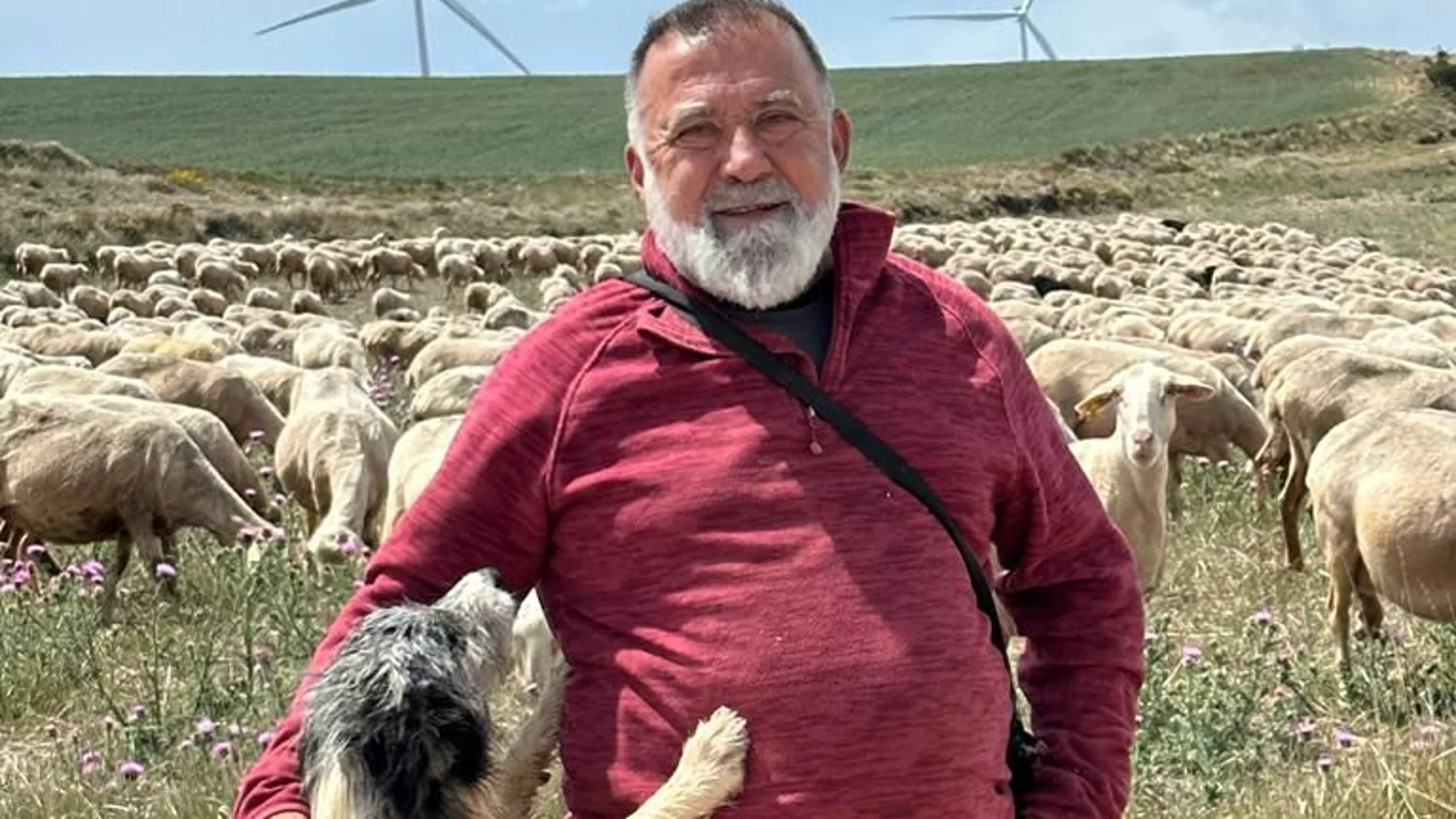 Herminio Sancho, con sus ovejas