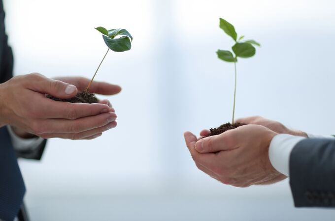 ¿Hay que poner en pausa la transición verde europea?