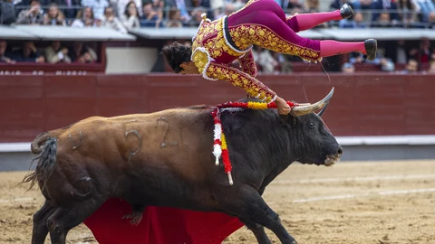 El diestro Francisco de Manuel es volteado por su primer toro, este sábado en el decimosexto festejo de la feria de San Isidro, en el que se torean reses de El Pilar, en la Monumental de Las Ventas.