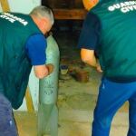Proyectil de la Legión Cóndor encontrado en un desván de El Burgo de Osma (Soria)