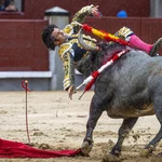 El diestro José Garrido sufre una cogida durante la faena a su primer toro, de la ganadería de Adolfo Martín, y que estoquea Fernando Robleño, en el decimosexto festejo de la Feria de San Isidro, que se celebra este domingo en la Monumental de las Ventas, Madrid.-