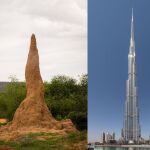 A la izquierda, un termitero en Waterberg, Namibia. A la derecha, el Burj Khalifa, el edificio que ostenta el récord del mundo de altitud con 829,8m en Dubai, Emiratos Árabes.