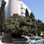 Imagen exterior de los juzgados de Marbella