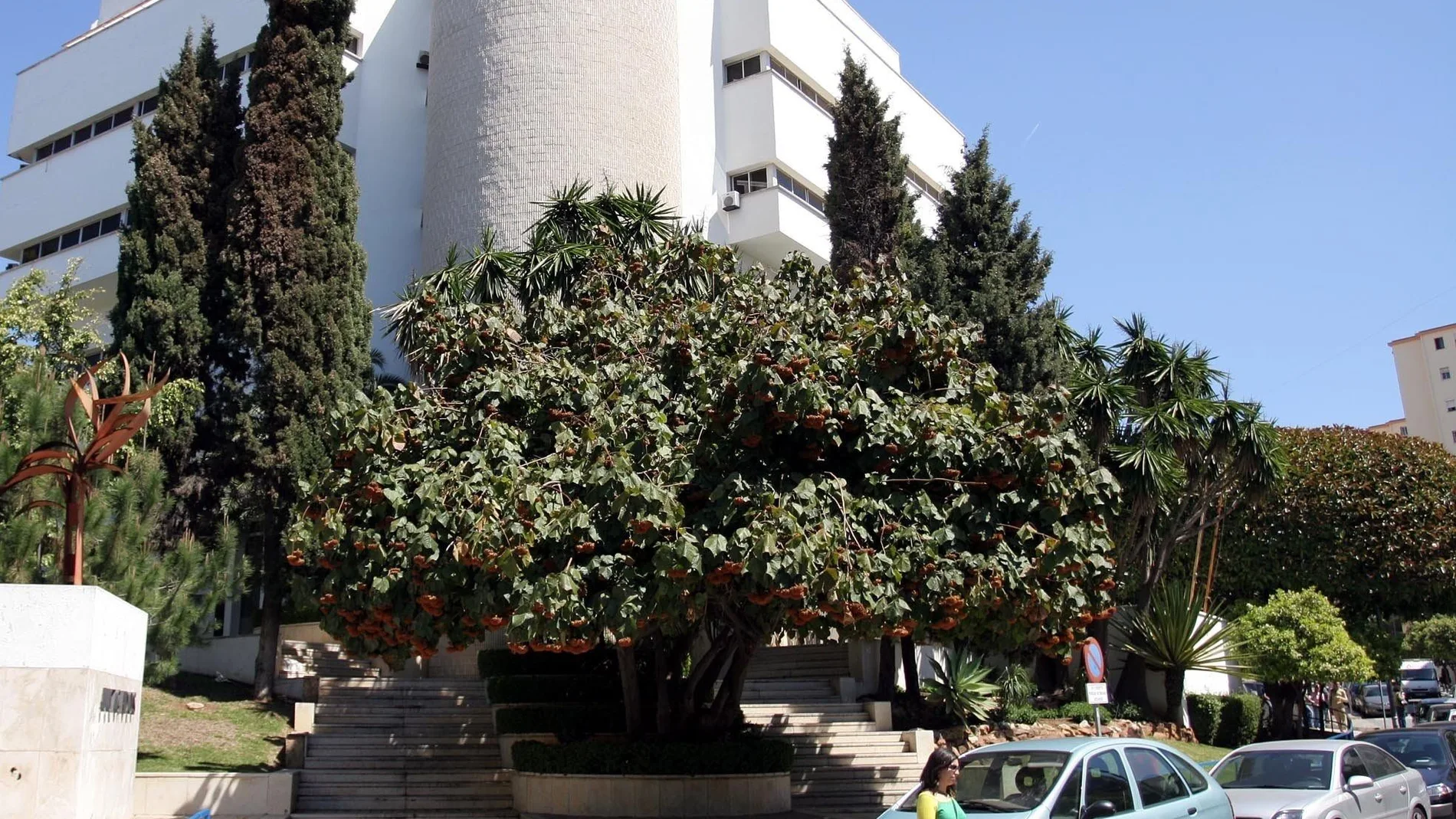 Imagen exterior de los juzgados de Marbella