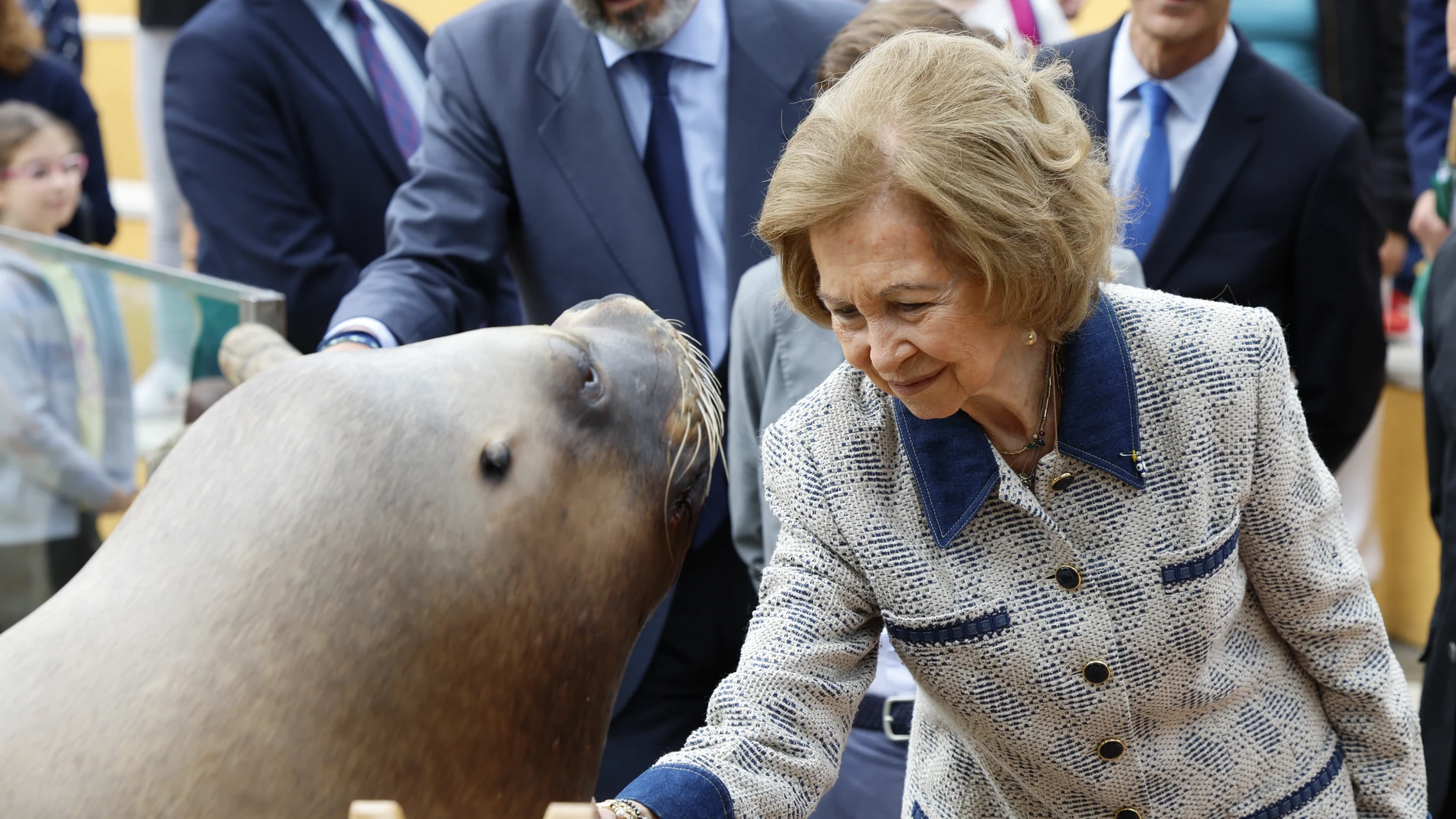 El look de la Reina Sofía para disfrutar del Zoo de Madrid.