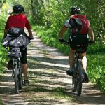 Dos ciclistas pasean en bici por un bosque