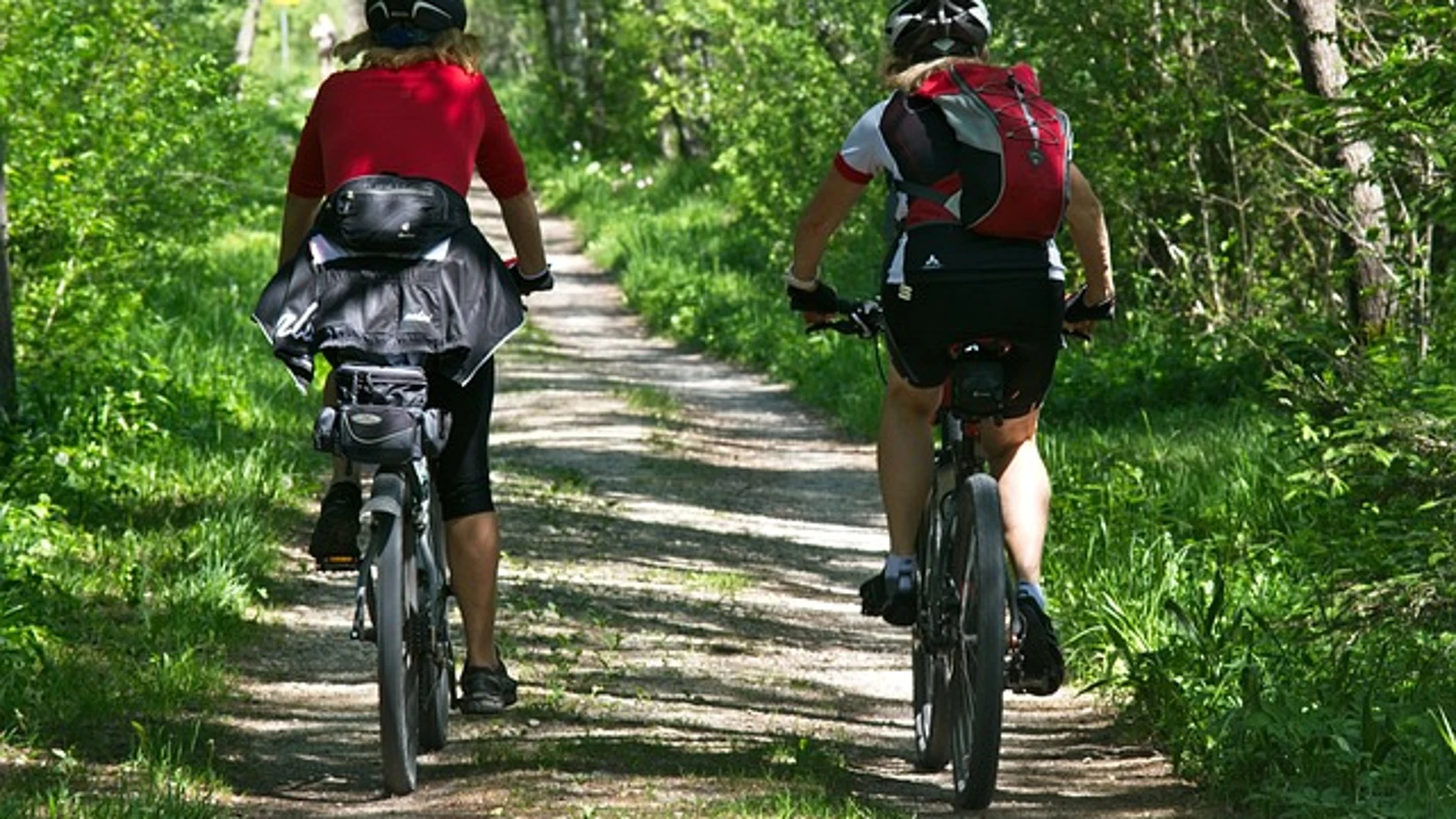 Dos ciclistas pasean en bici por un bosque