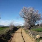 El Camino de Santiago en Madrid: ¿Dónde está el “Camino Mendocino”?