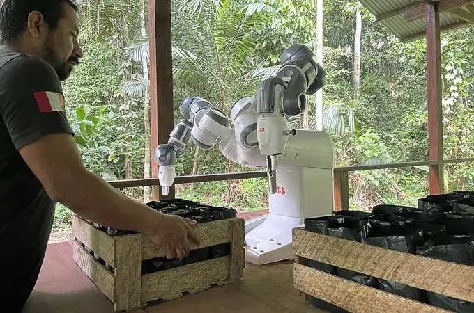 Este robot planta más de 100 árboles cada día