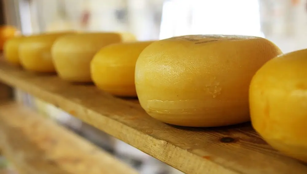 La corteza del queso artificial no es tóxica, pero comerla no es recomendable