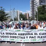 Protestas de agricultores y ganaderos en las calles de Valladolid