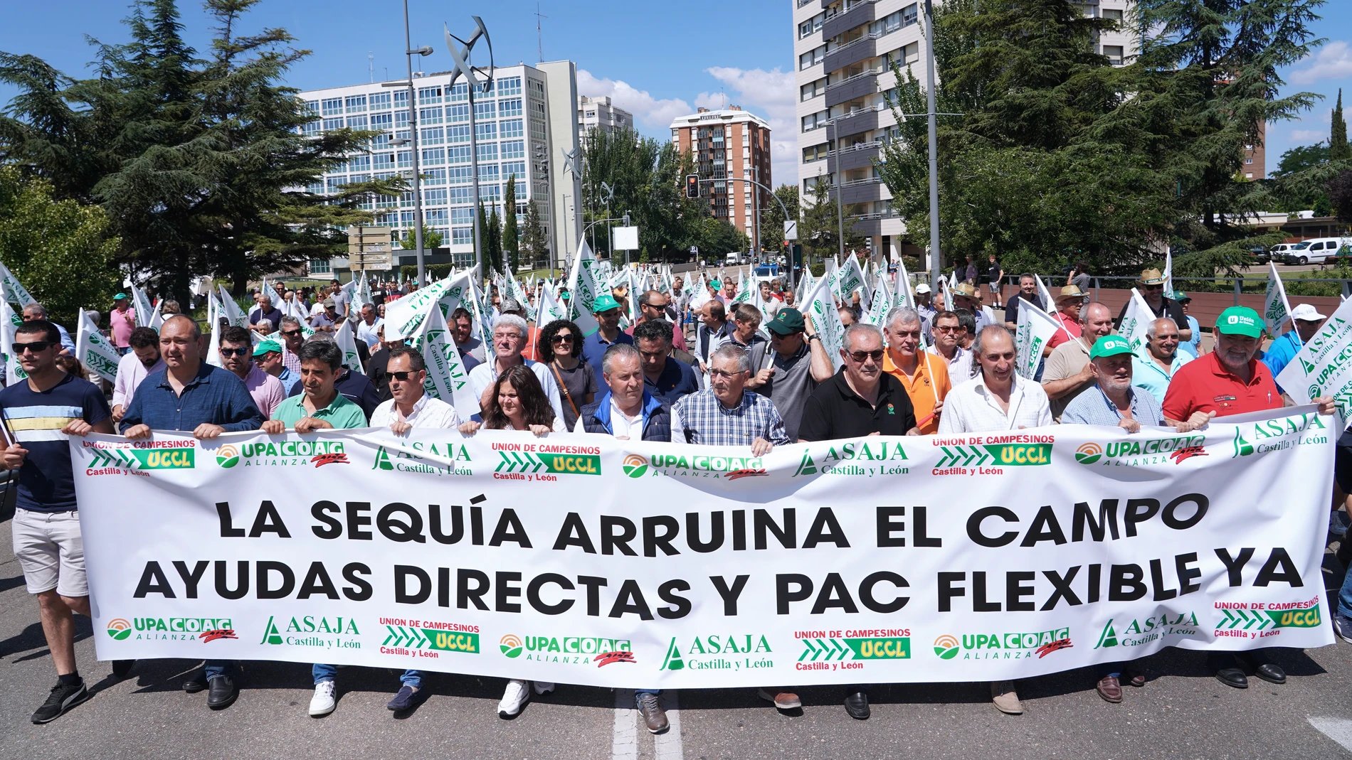 Protestas de agricultores y ganaderos en las calles de Valladolid