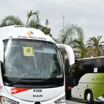 Autobuses de transporte escolar