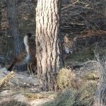 Torrealvilla en la zona de Las Tierras Altas de Lorca