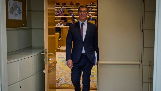Alberto Nuñez Feijóo durante una sesión de control en el Senado. 