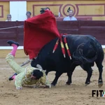 ¿Por qué Morante no toreará los toros de Victorino Martín en Alicante?