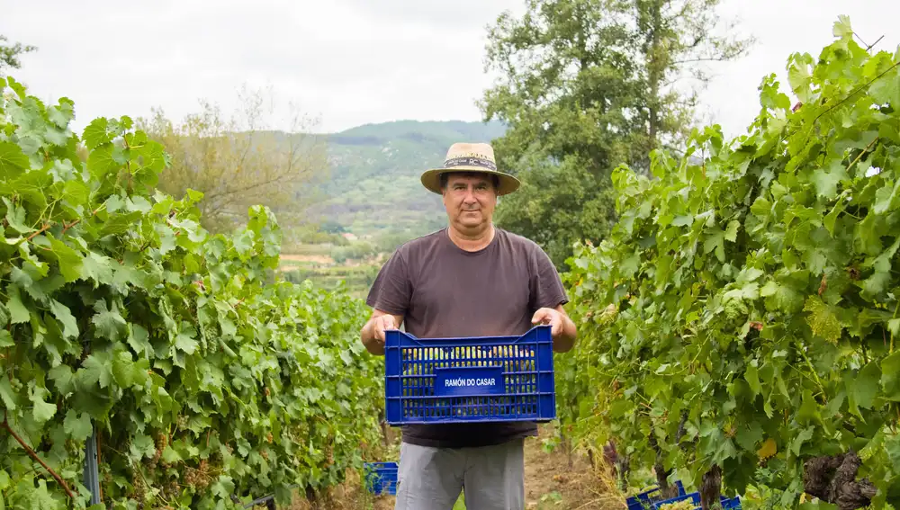 Como amantes del vino y de la tierra que los vio nacer, los hermanos González apuestan por la sostenibilidad como su valor fundamental