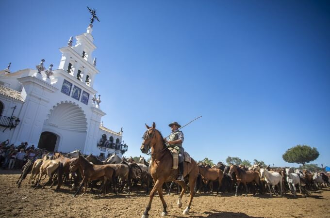 La tradicional Saca de las Yeguas de Doñana a su paso por la aldea de El Rocío
