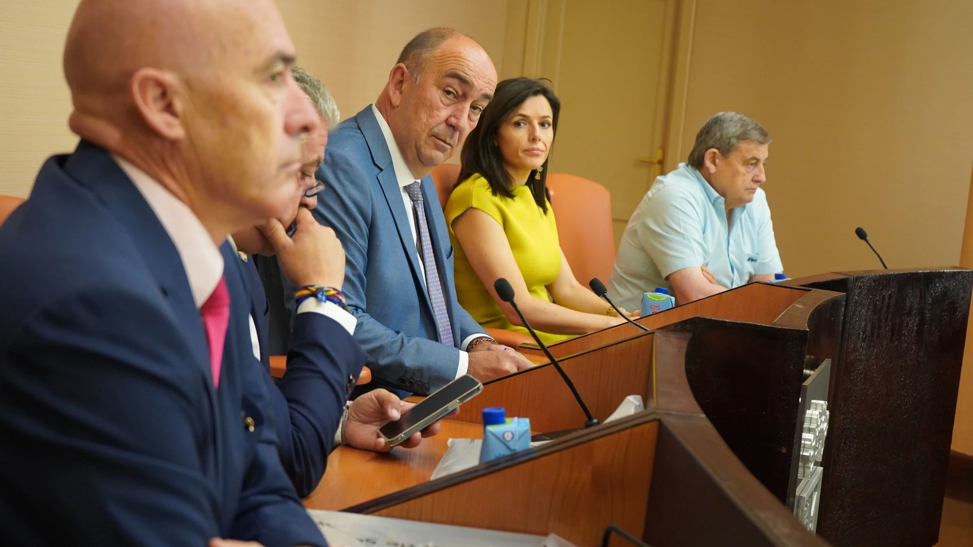 Pleno de actas de la Diputación de Segovia