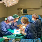 Los cirujanos plásticos Elena Vilariño y Enrique Salmerón durante una operación de cambio de sexo en el Hospital Doctor Peset de Valencia