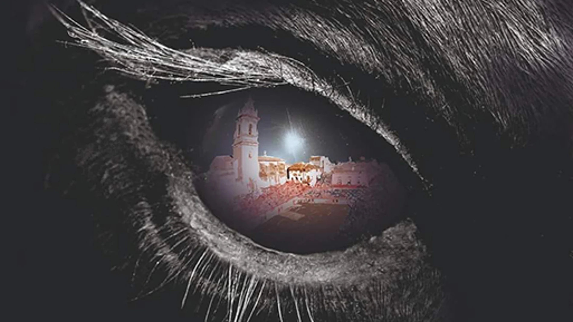 “Ojo Bravo”, cuyo autor es Alfonso Giménez Ventura, diseñador y cartelista de Bechí