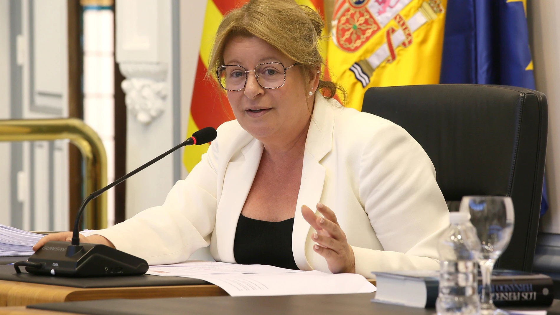 La diputada de Ciclo Hídrico, Ana Serna, en el salón de plenos de la institución provincial de Alicante.