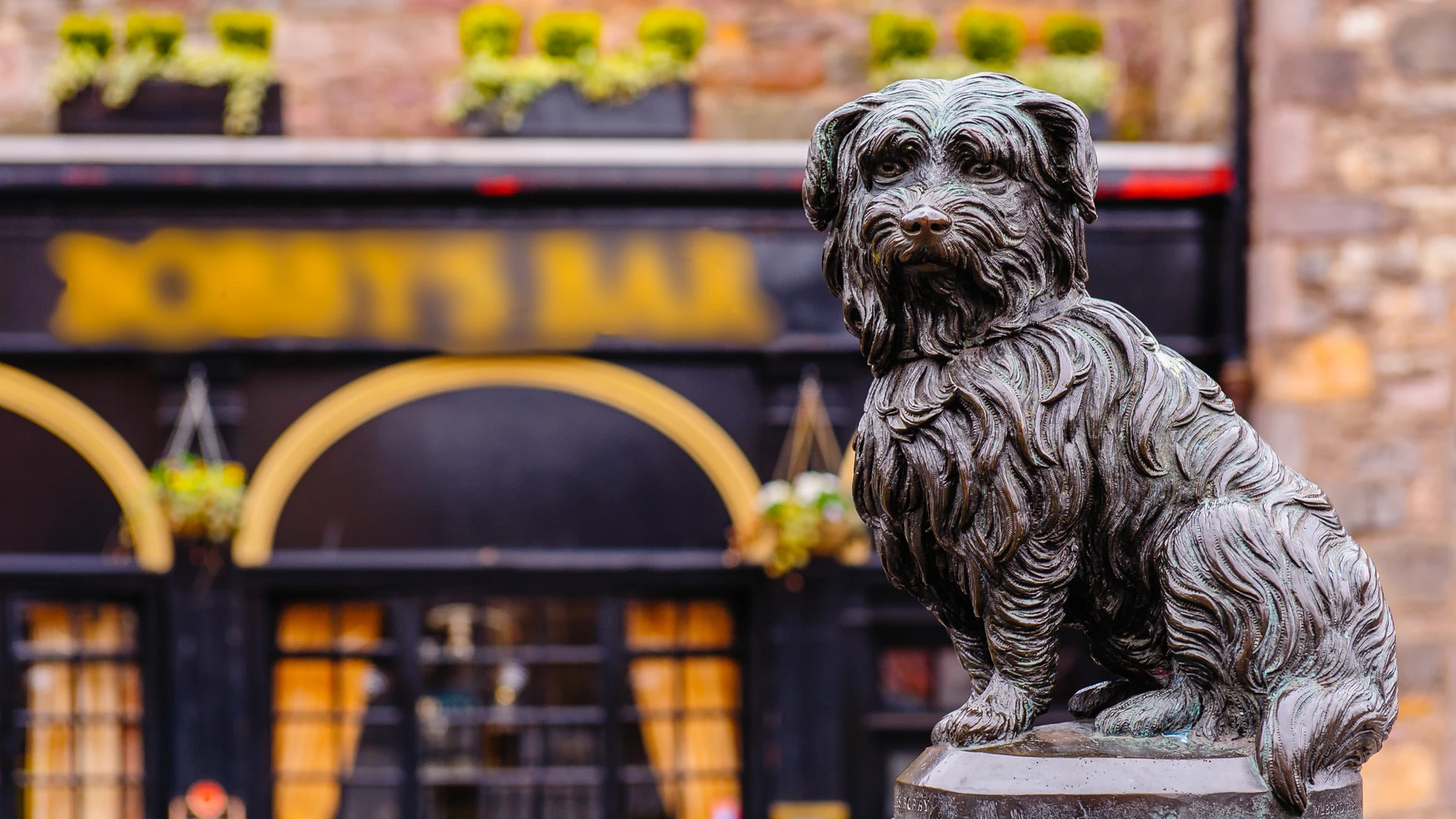 Greyfriars Bobby es un icono de Edimburgo, el perro más famoso de Escocia