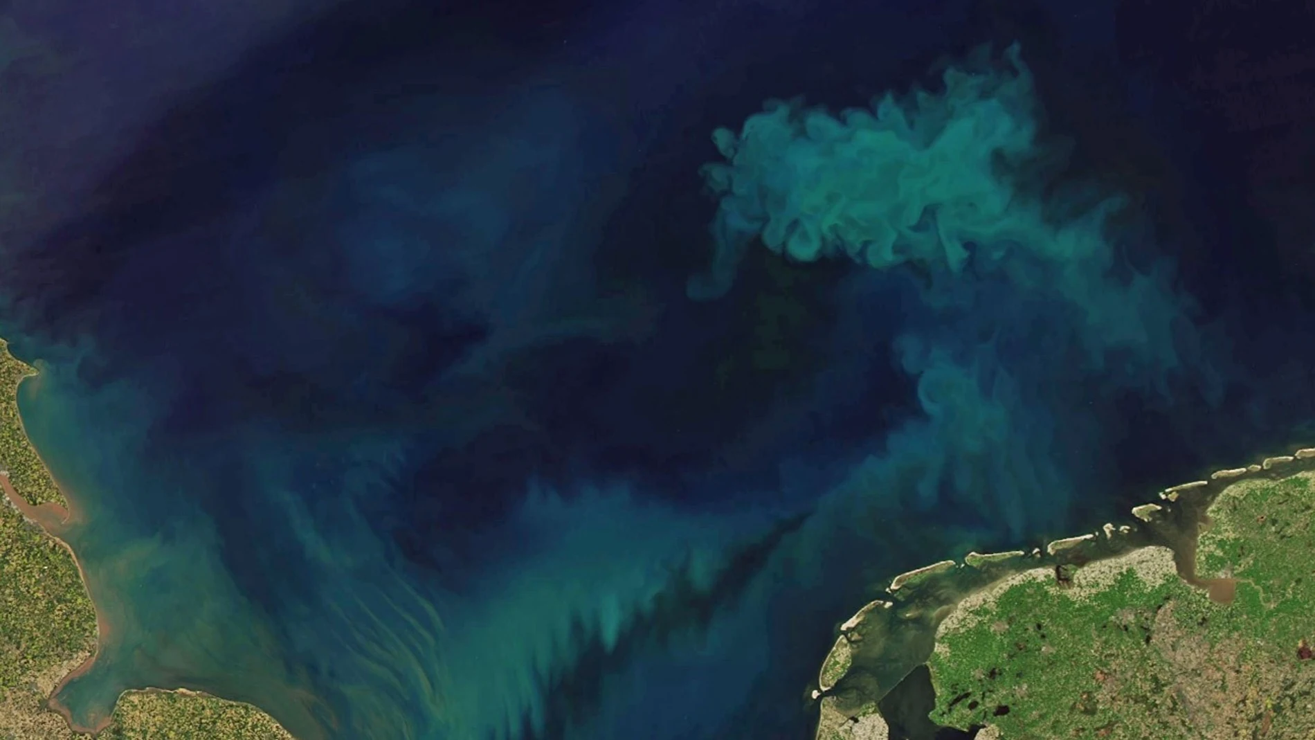Imagen del océano realizada por la NASA y Joshua Stevens utilizando datos Landsat del U.S. Geological Survey y datos MODIS de LANCE