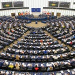 La Eurocámara rechaza el veto del PPE a la ley de la restauración de la naturaleza
