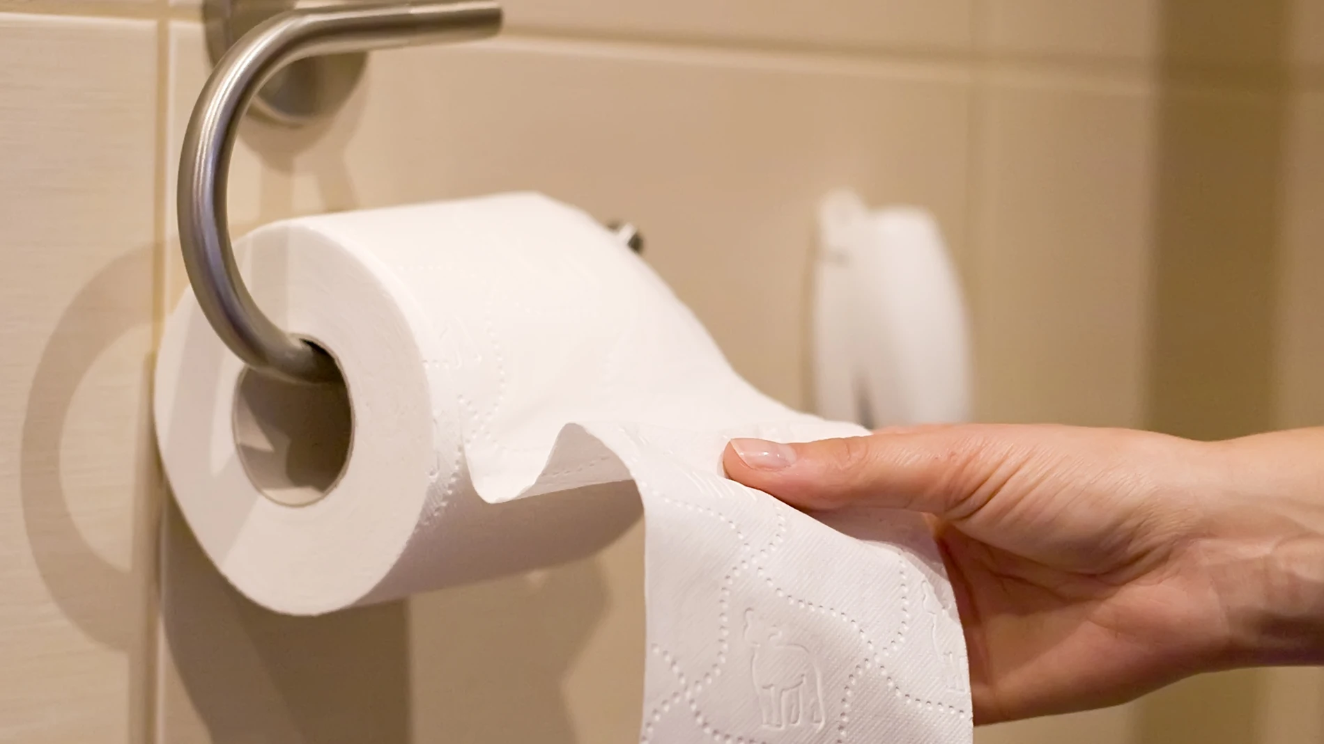 Y si desapareciese el papel higiénico? Tendrías que usar esto como  alternativa
