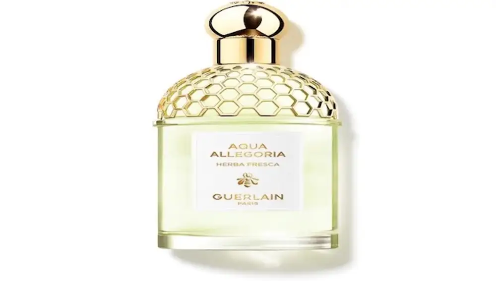 Aqua allegoria herba fresca