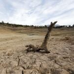 Estado en el que se encuentra el pantano de La Viñuela, el mayor de la provincia de Málaga