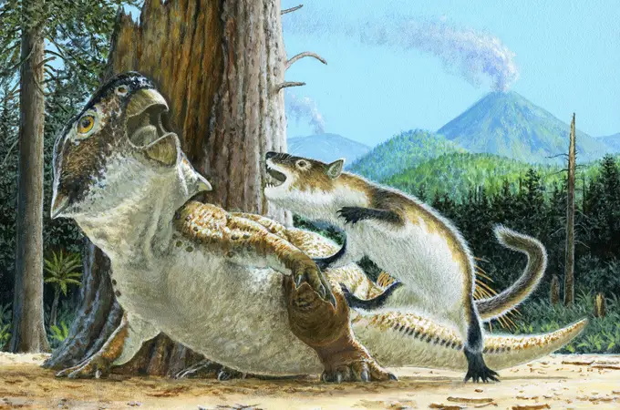 Hallada una “rata” gigante que cazaba dinosaurios hace 125 millones de años