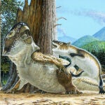 Ilustración que muestra a Repenomamus robustus atacando a Psittacosaurus lujiatunensis momentos antes de que un flujo de escombros volcánicos los sepultara a ambos, hace unos 125 millones de años. 