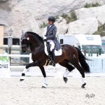 Pampero FS representará a España en el Campeonato del Mundo de Caballos Jóvenes