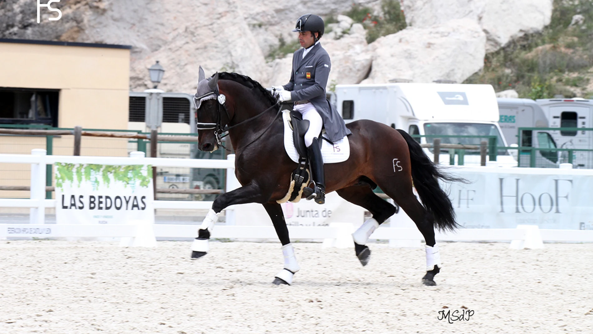 Pampero FS representará a España en el Campeonato del Mundo de Caballos Jóvenes