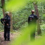 Police hunt for escaped lion in the south of Berlin