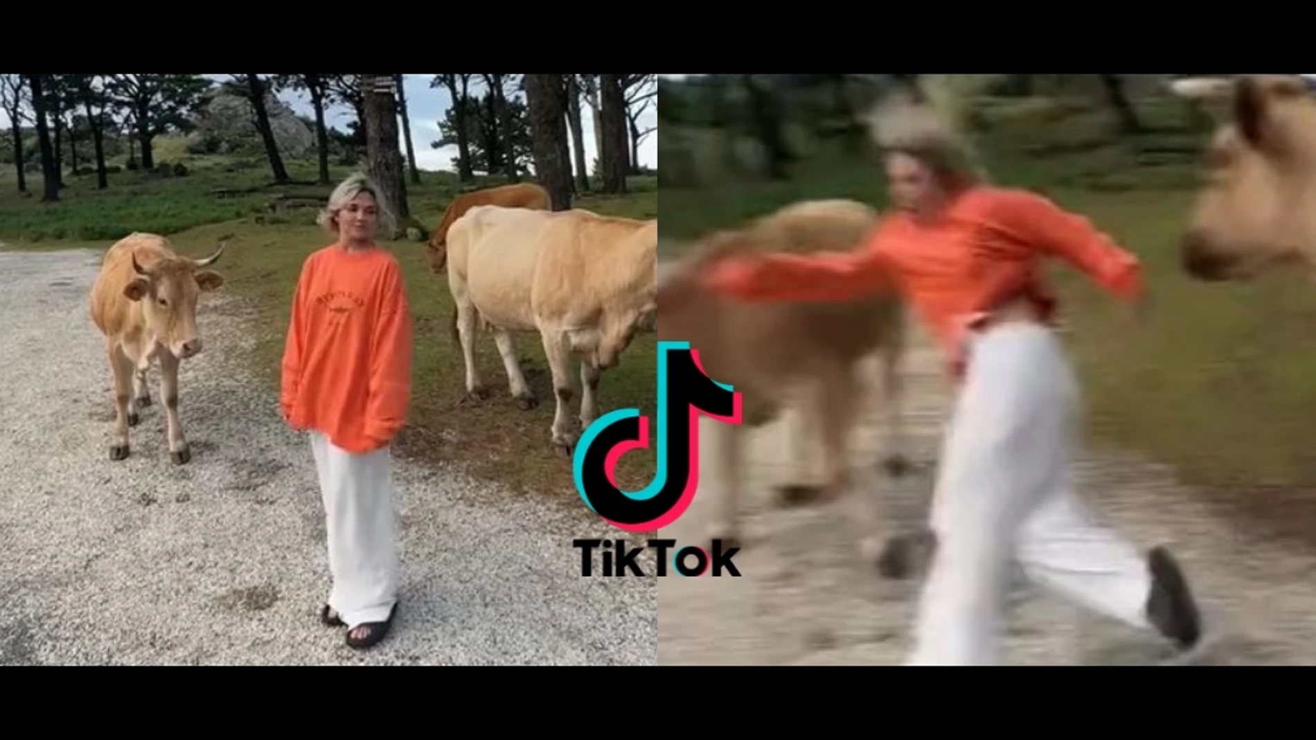 Pantallazo deTikTok (@noemartosr)