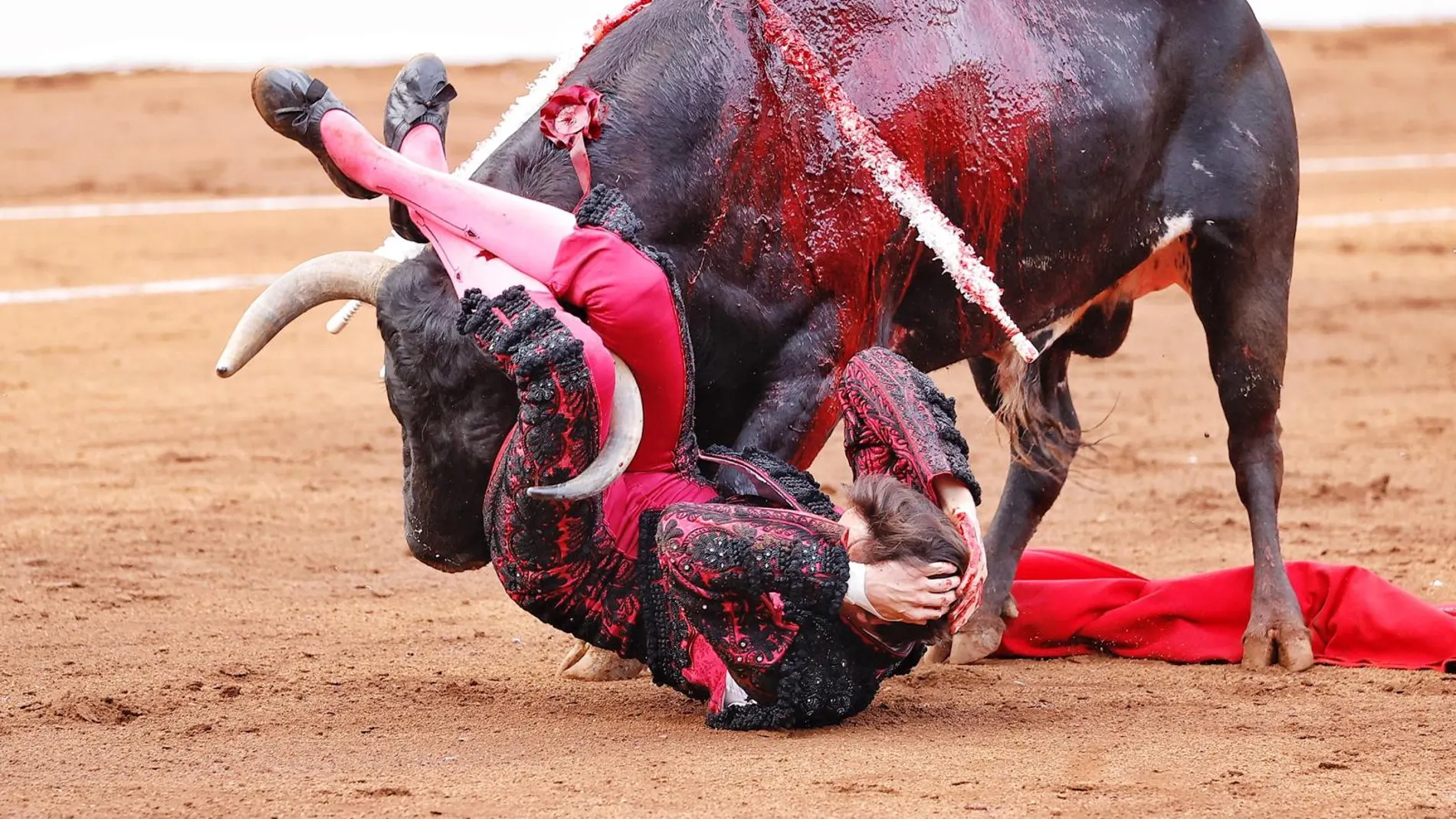 Tremenda cogida a Roca Rey en Santander (corta un trofeo) y Cayetano le hace el quite