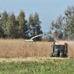 Agroseguro abona casi 30 millones de euros a los productores de cultivos herbáceos de Castilla y León