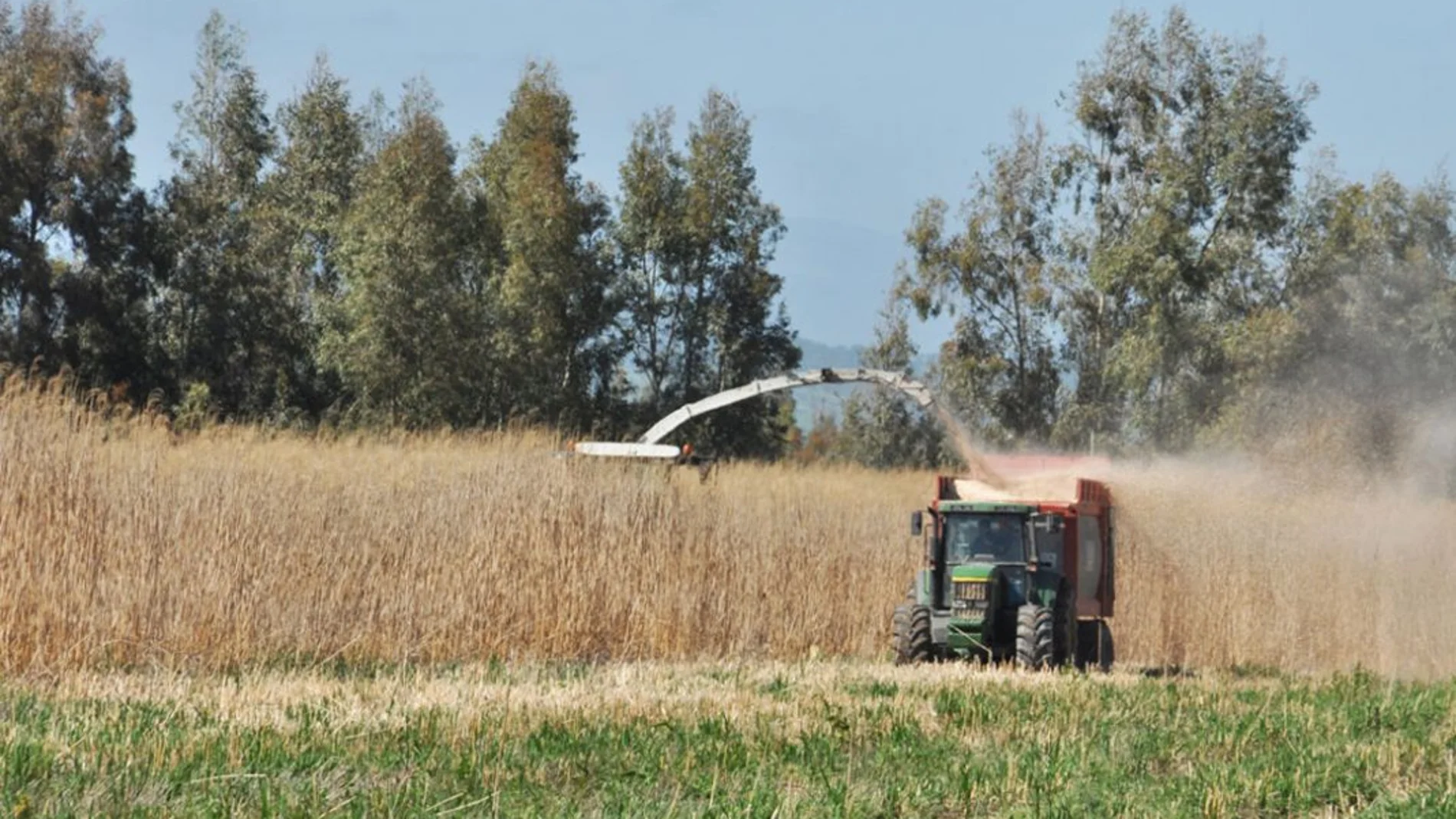 Agroseguro abona casi 30 millones de euros a los productores de cultivos herbáceos de Castilla y León