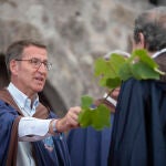 El presidente del PP, Alberto Núñez Feijóo asiste a la LXXI Festa do Albariñov