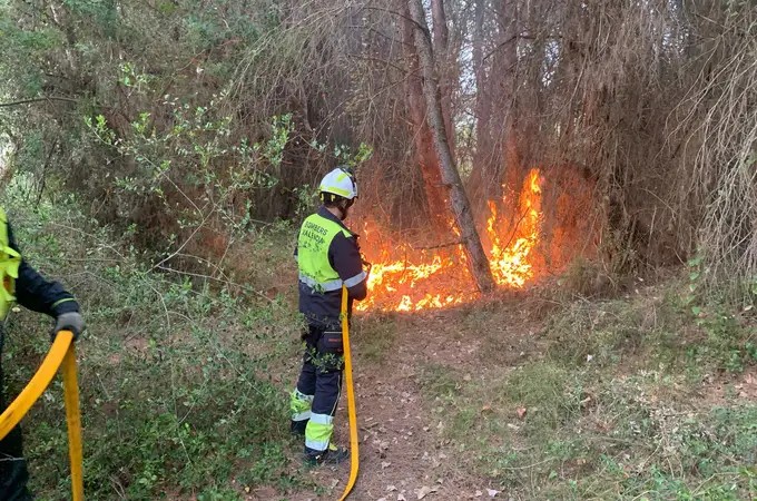 Extinguido un nuevo conato de incendio en El Saler (Valencia) con varios focos